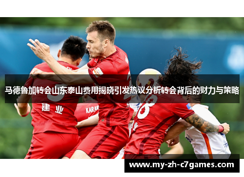 马德鲁加转会山东泰山费用揭晓引发热议分析转会背后的财力与策略