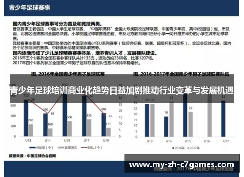 青少年足球培训商业化趋势日益加剧推动行业变革与发展机遇 青少年足球培训商业化趋势日益加剧推动行业变革与发展机遇