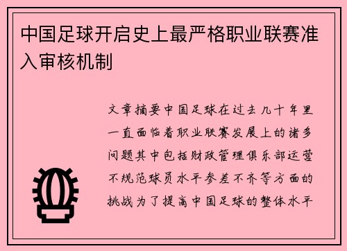 中国足球开启史上最严格职业联赛准入审核机制